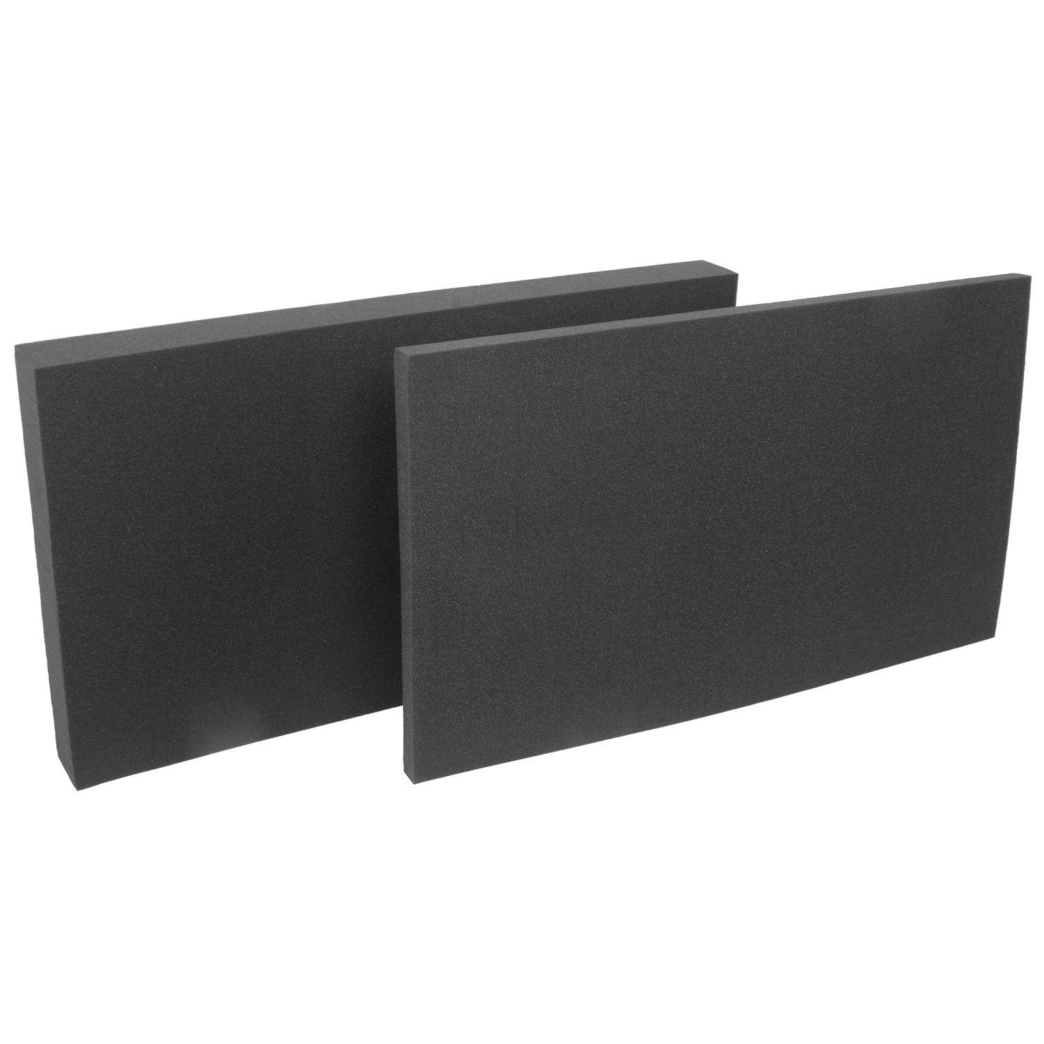 U10301 UDG HI-DENSITY CUSTOM PICKFOAM L FOR FLT