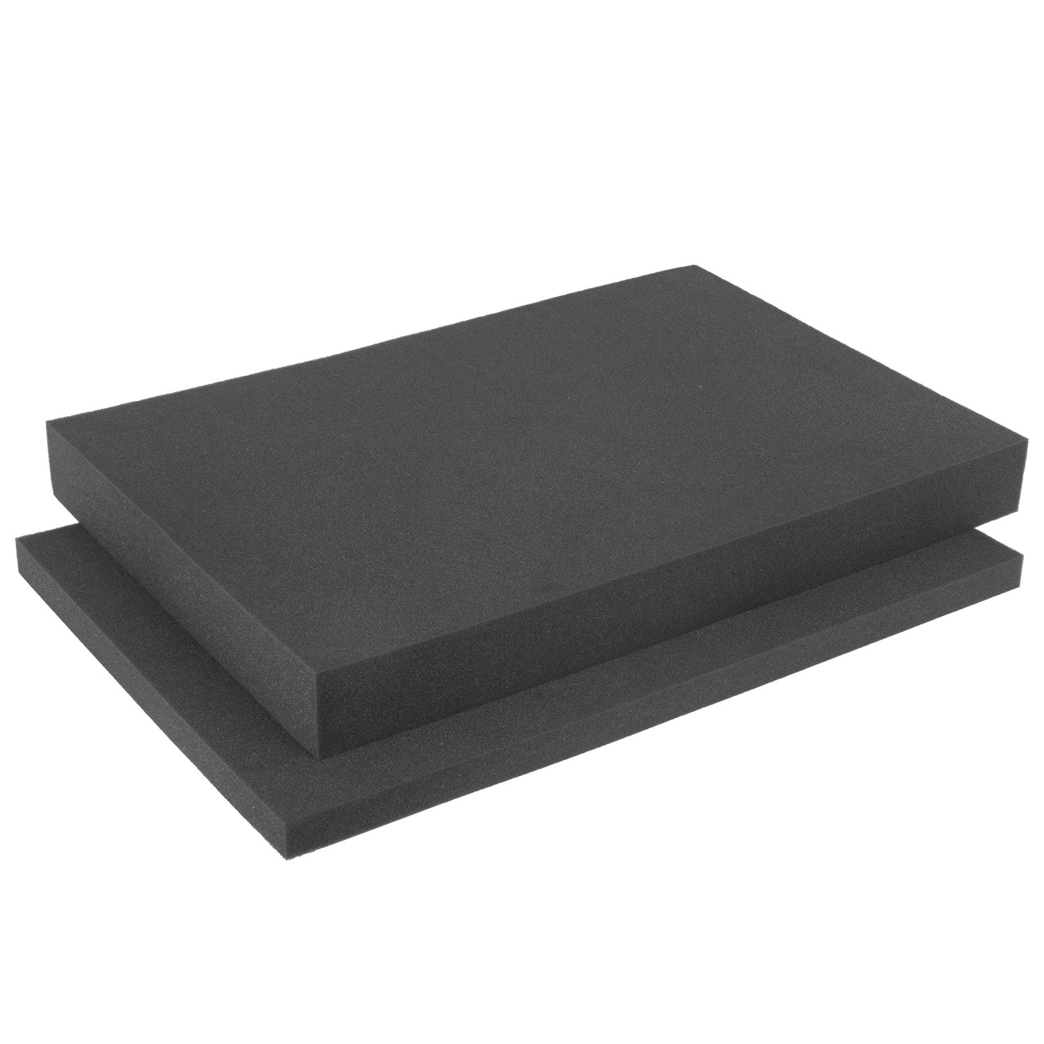 U10301 UDG HI-DENSITY CUSTOM PICKFOAM L FOR FLT