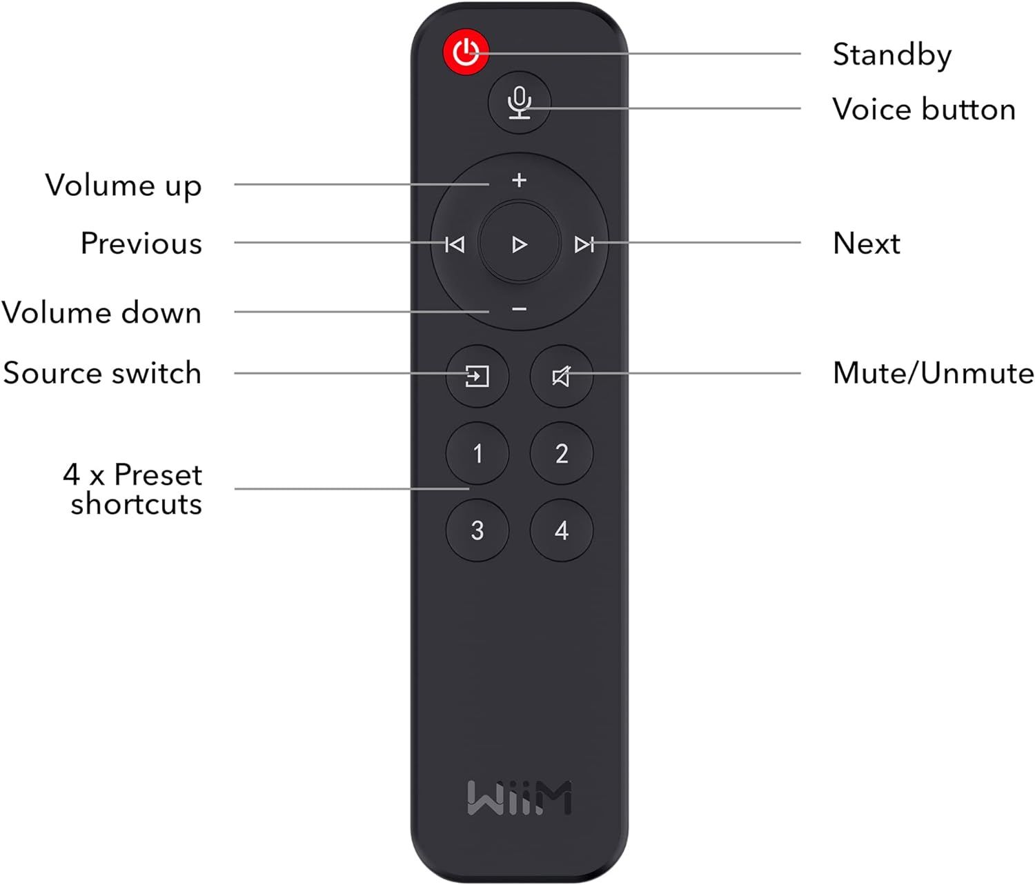 VOICE REMOTE