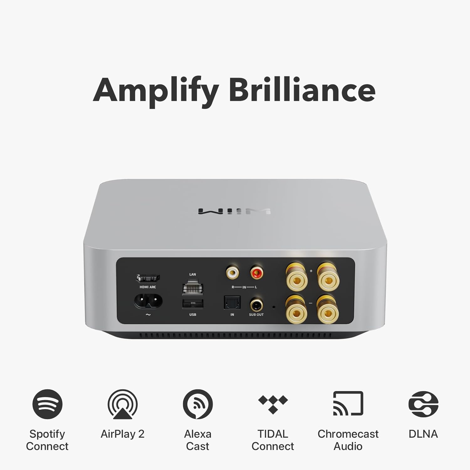 AMP SILVER