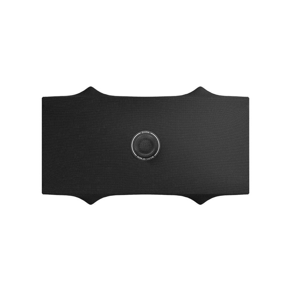 DIANA CENTER BLACK / SILVER