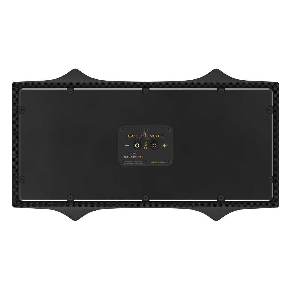 DIANA CENTER BLACK / SILVER